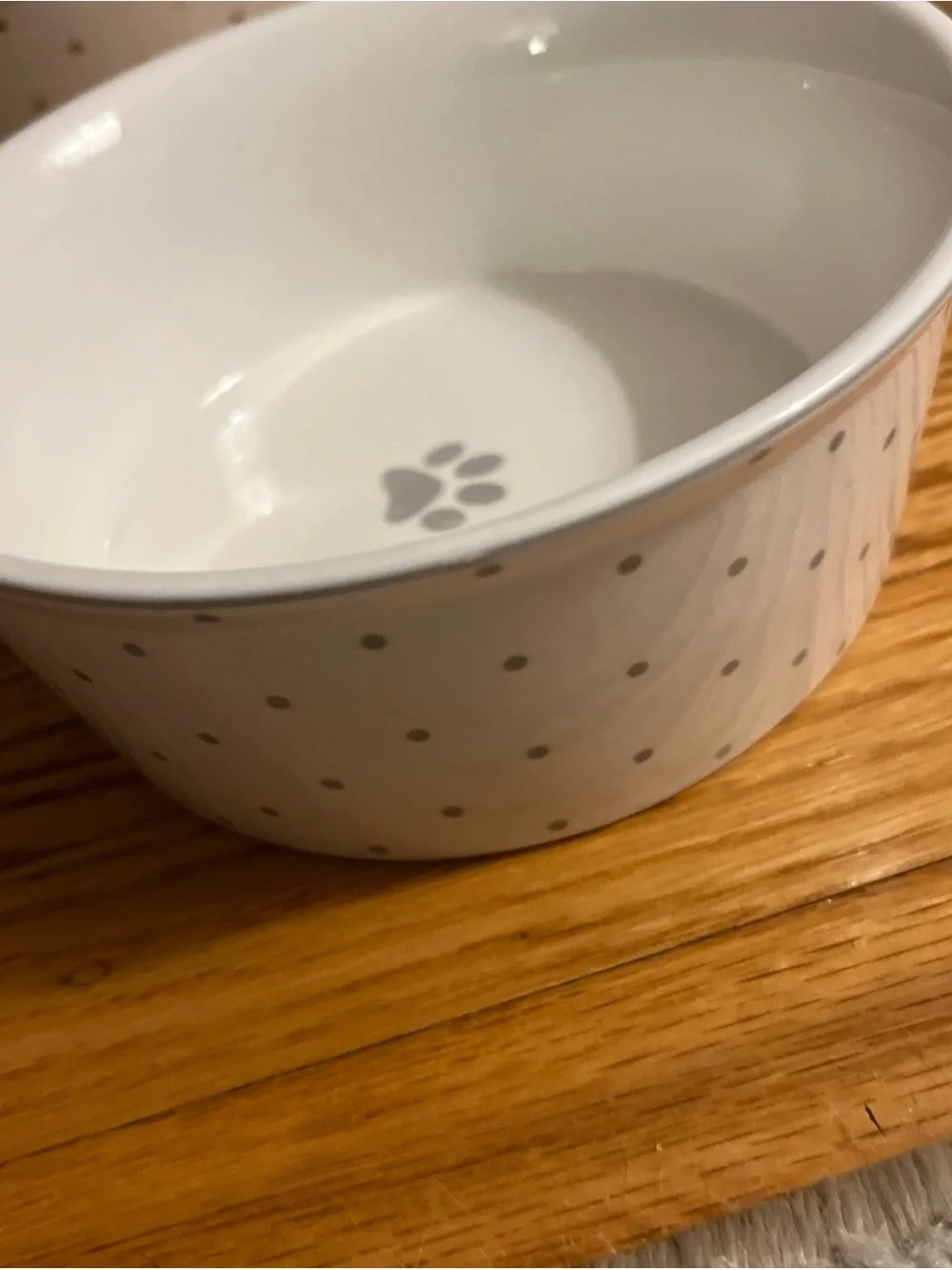 Fido's Diner Ceramic Water and Food Bowl Set White Gray Dots and Gold Rim